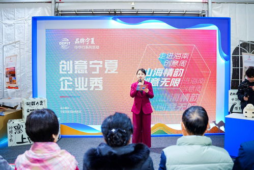 寧夏創(chuàng)意企業(yè)閃亮海南 創(chuàng)意周